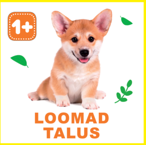 Loomad talus. 1+
