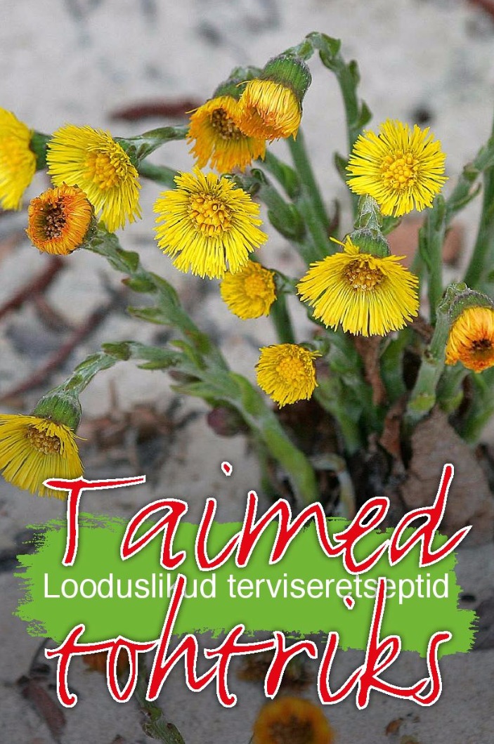 Taimed tohtriks. Looduslikud terviseretseptid
